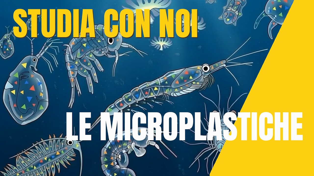 Le microplastiche: quanto ne sappiamo?- Bioplast4safe