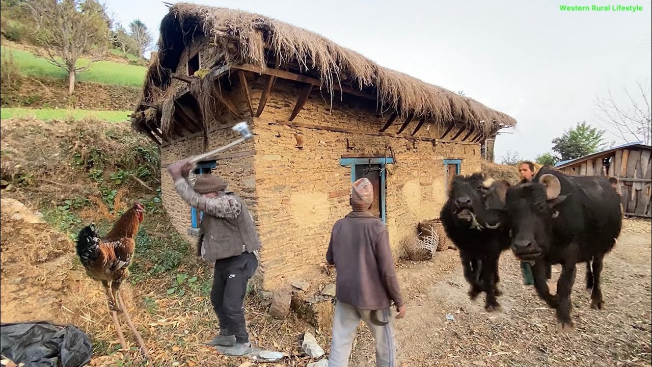 This Is How People Really Live in Rural Nepal (Spring Village Life)