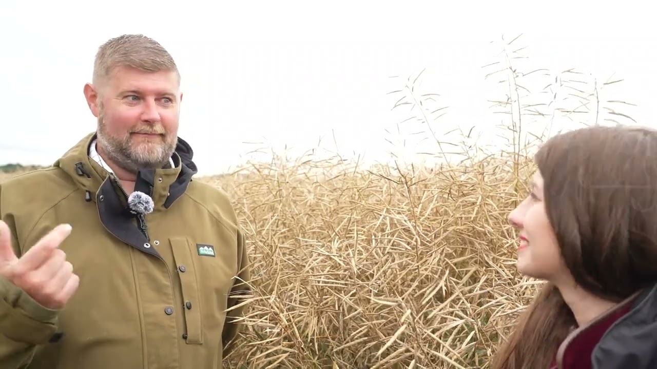 How to Establish Oilseed Rape for a Strong Harvest
