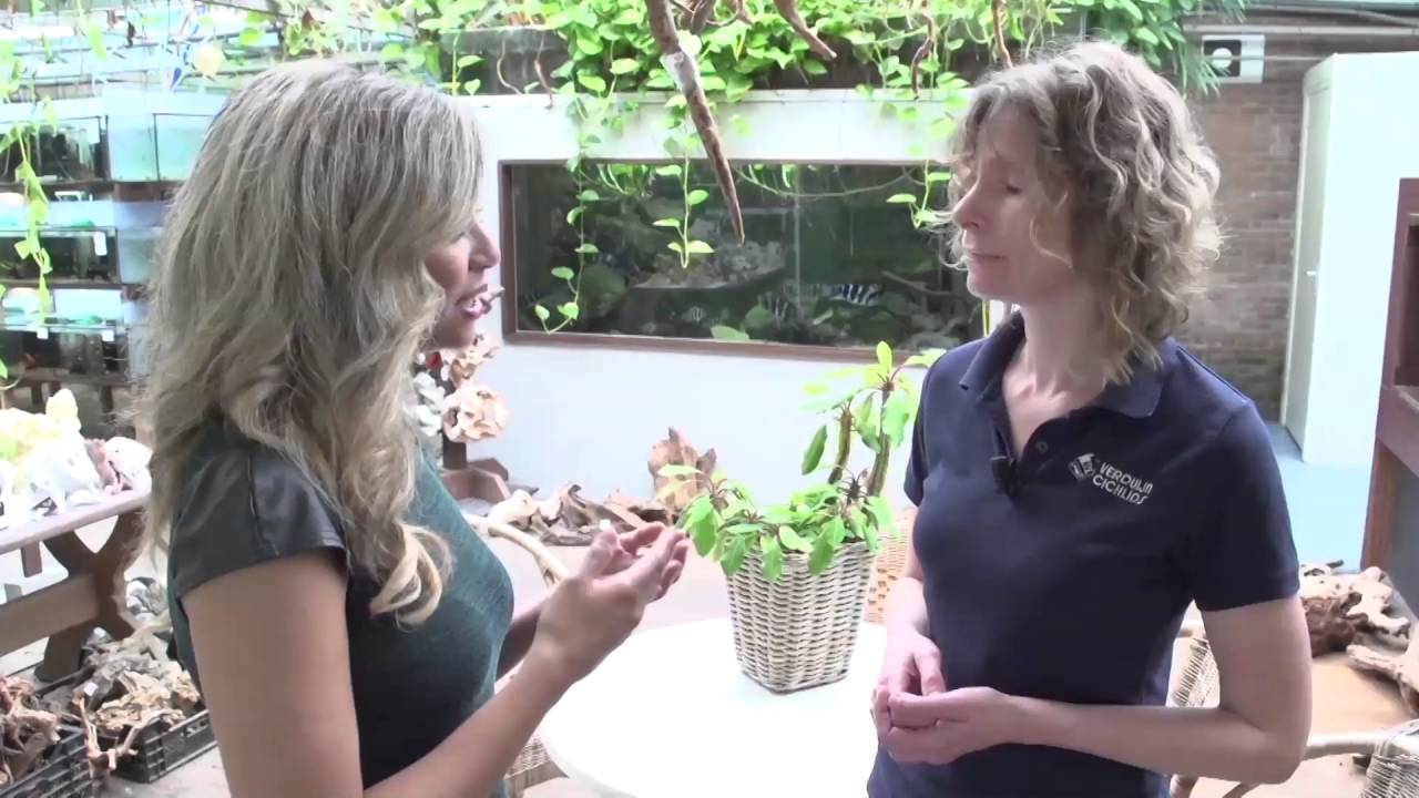 Tv-programma Altijd Jong van RTL4 op bezoek bij Verduijn Cichlids