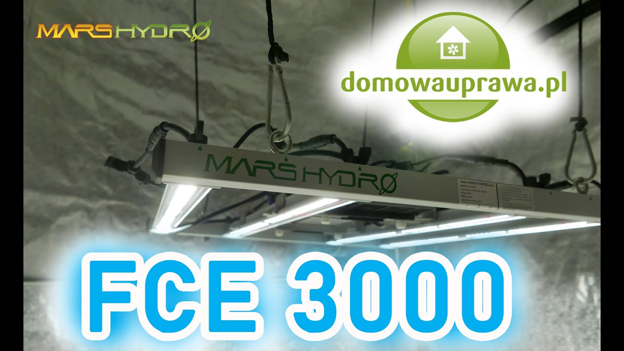 Nowy LED od MarsHydro FCE 3000 - lampa do uprawy roślin na 1m2