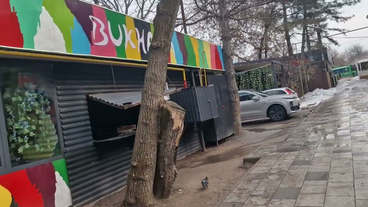 Прогулка по пр. Алтынсарина (Правды) до пр.Абая.  27 02 2026
