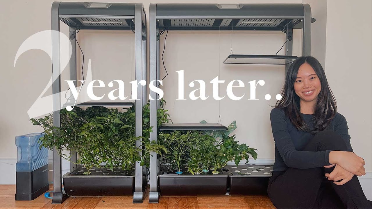 ОБЗОР ФЕРМЫ AEROGARDEN: СТОИТ ЛИ ОНА ТЕБЯ?! (Ферма 12xl + 24xl)