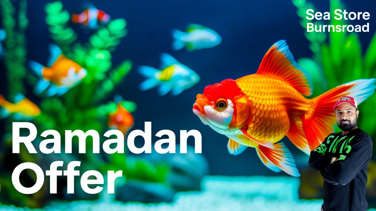 2026 Exotic Thailand Fish Shipment Arrived 🇹🇭 | Burns Road Sea Store Ramadan Offer & Latest Prices