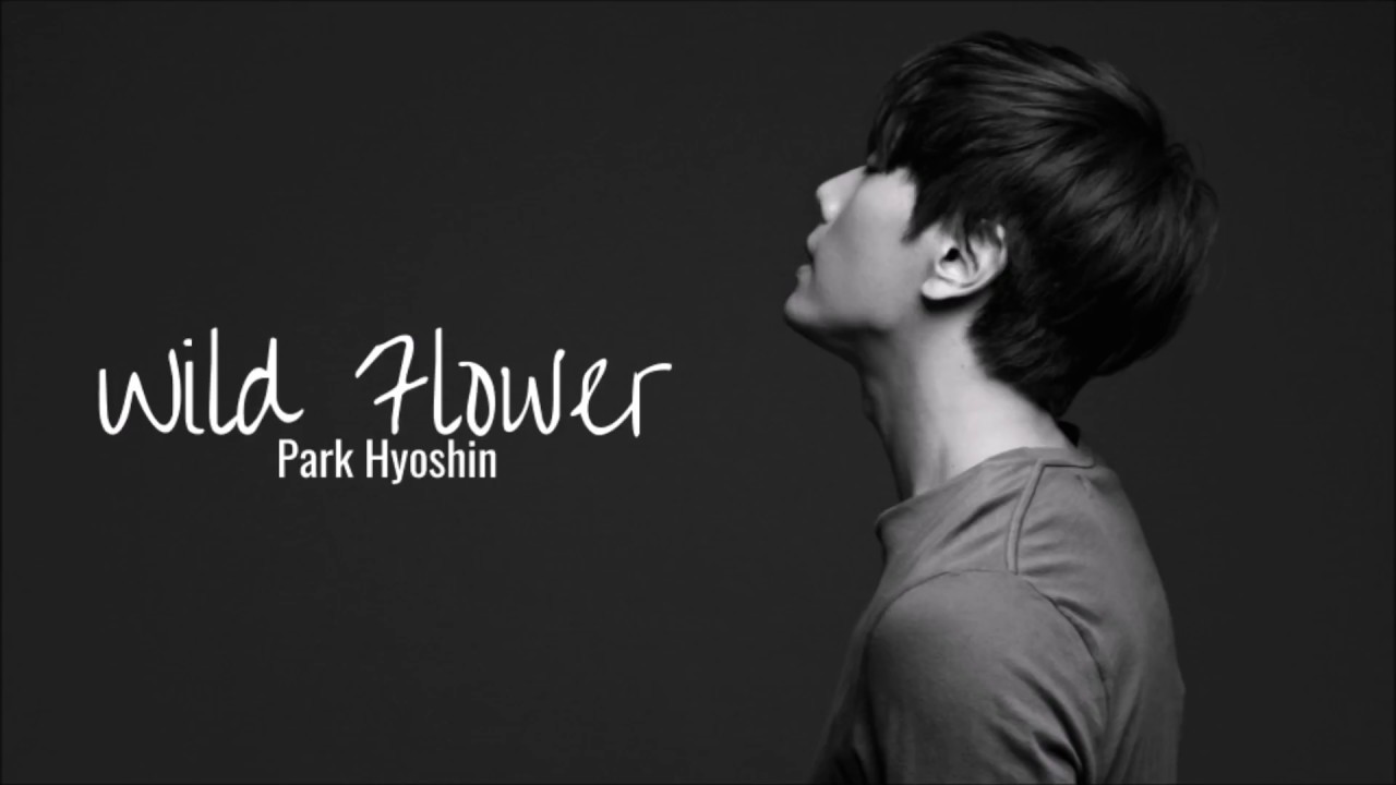 Park Hyoshin - Wild Flower (Han|Rom|Eng Lyrics) | by baekhyunkkaebsong