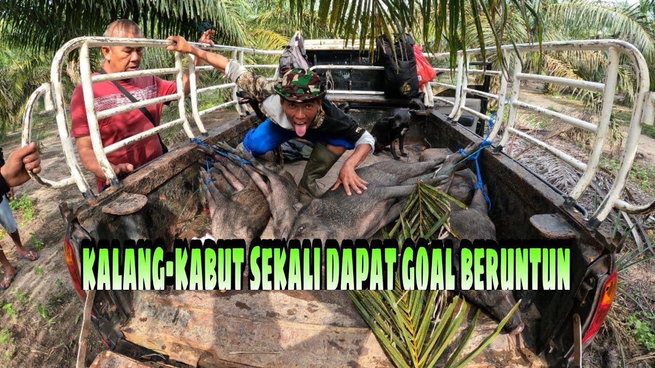 BERBURU BABI HUTAN; (DAY 2.) PAGI PENUH SEMANGAT DI BUAHI  TAMBAHAN 5 POINT HAMA BABI.