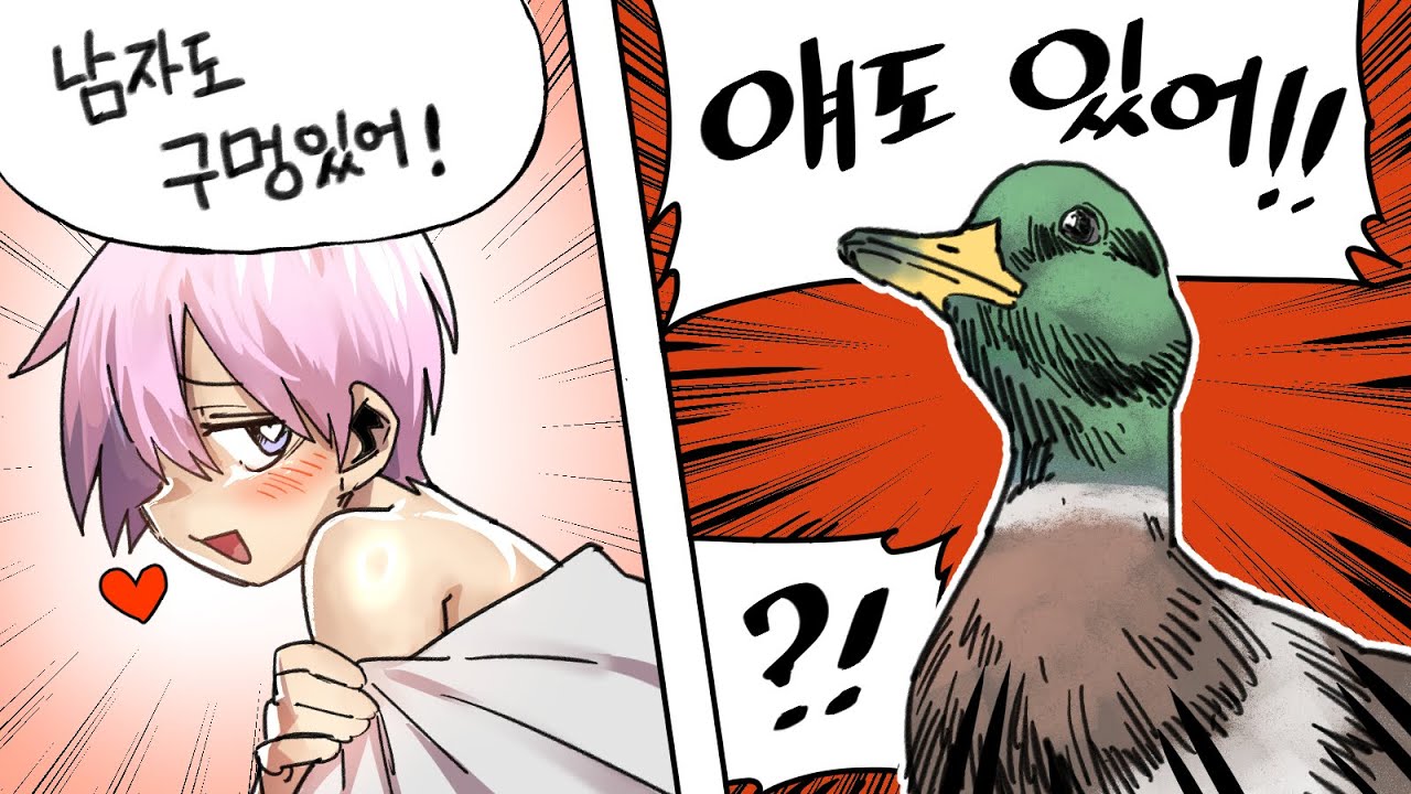 제발 피드백에서 이러지말아요