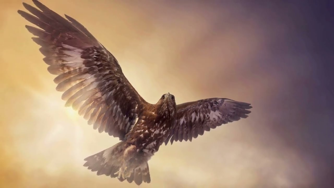 Under Your Wings - Psalm 91 - Original Christian Bible Music
