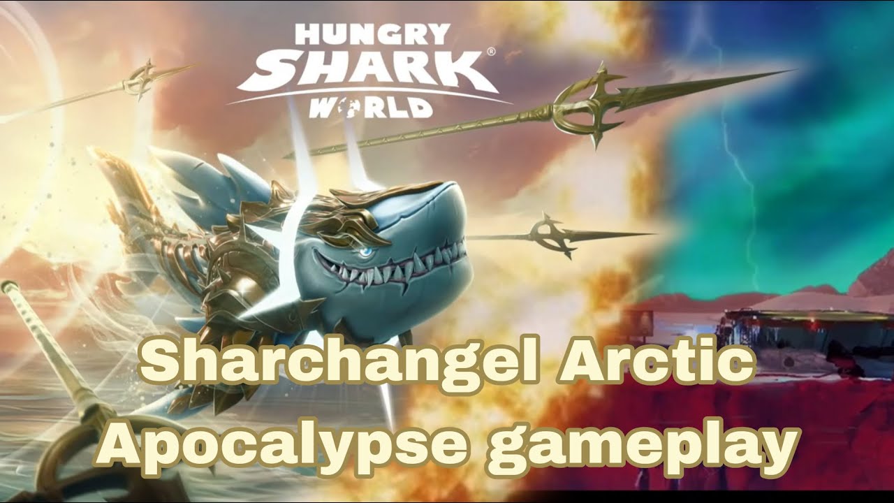 This is the best shark for me so far in HSW.New Op Shark 