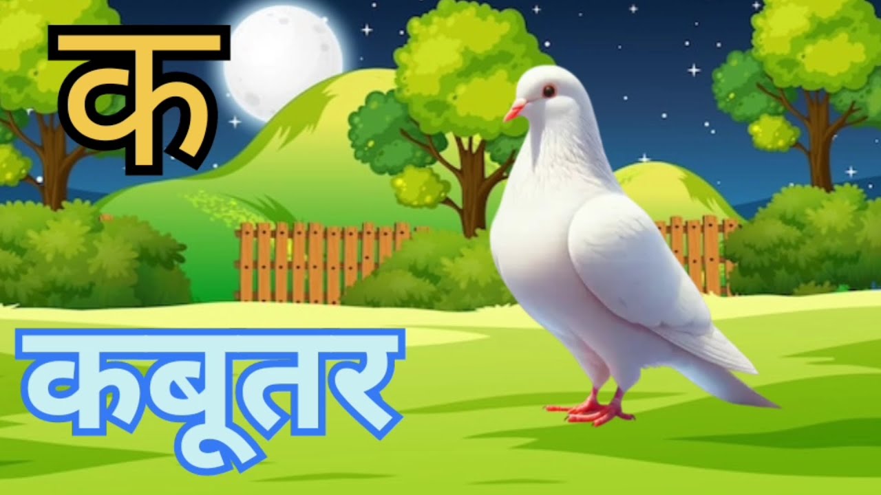 ll K se kabutar kh se khargosh wala video ll 