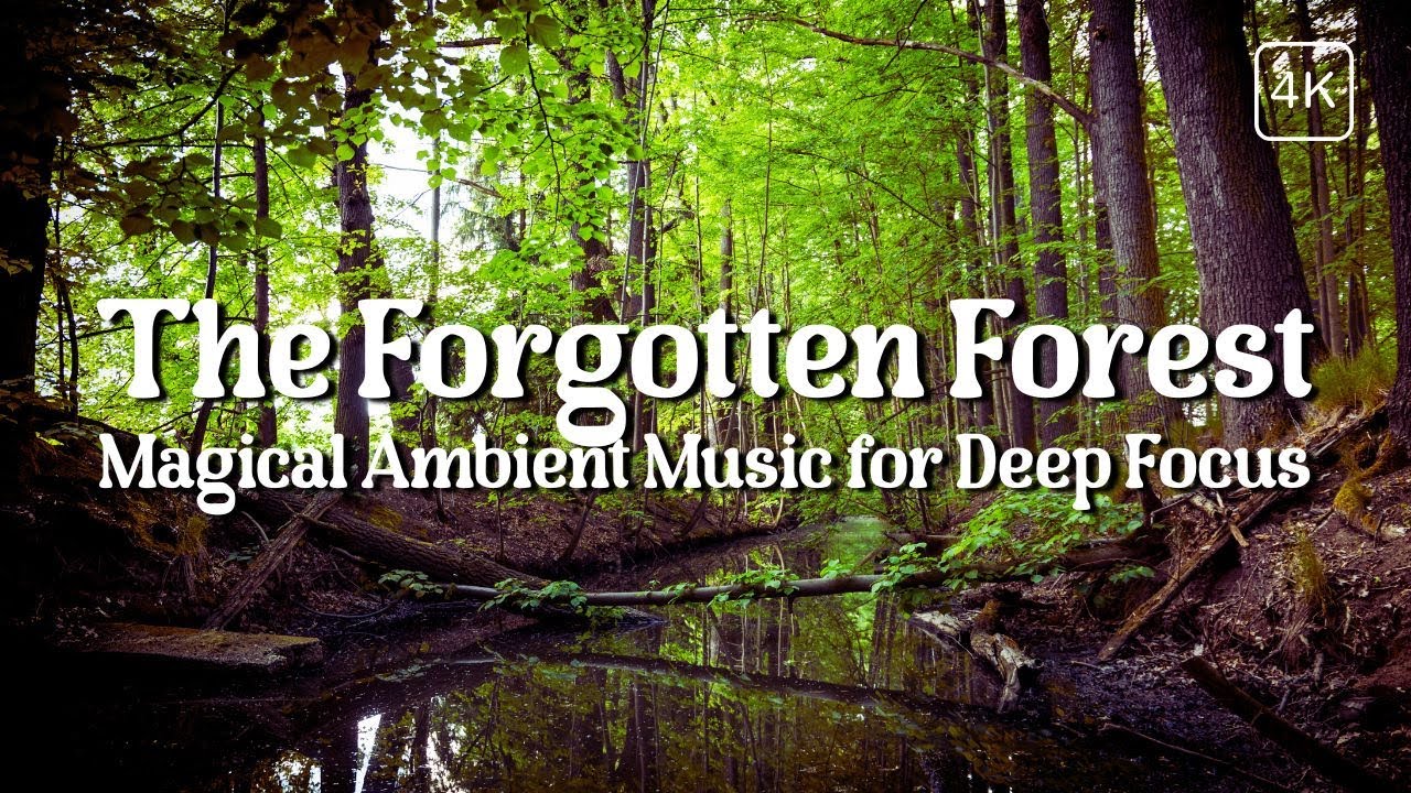 LIVE: The Forgotten Forest  | Magical Ambient Music for Deep Focus