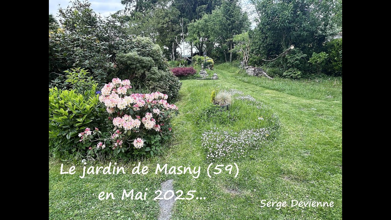 jLe jardin de Masny (59) en Mai 2025  -  Serge Devienne - Masny Nord France