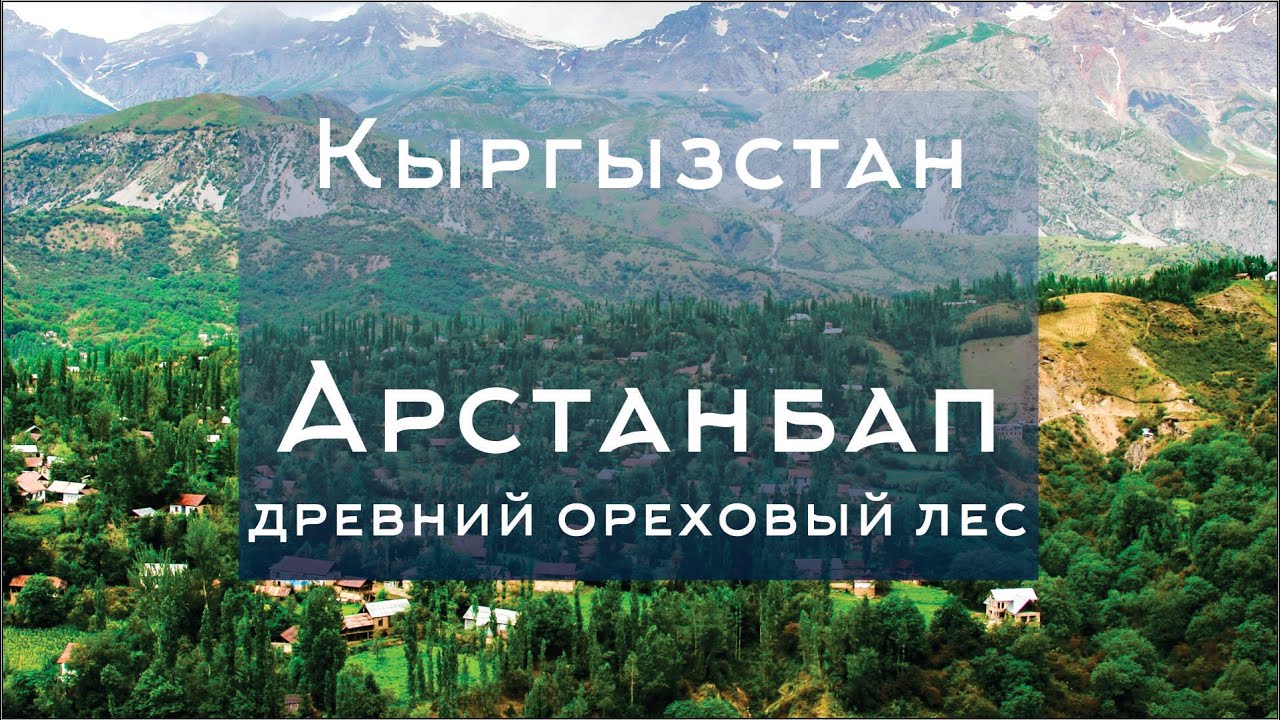 Природа Кыргызстана. Арстанбап. Серия 2. Что интересного?