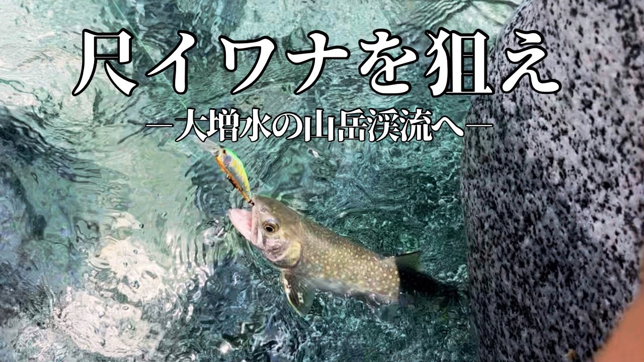 増水の渓を決しの渡渉で釣り上がる