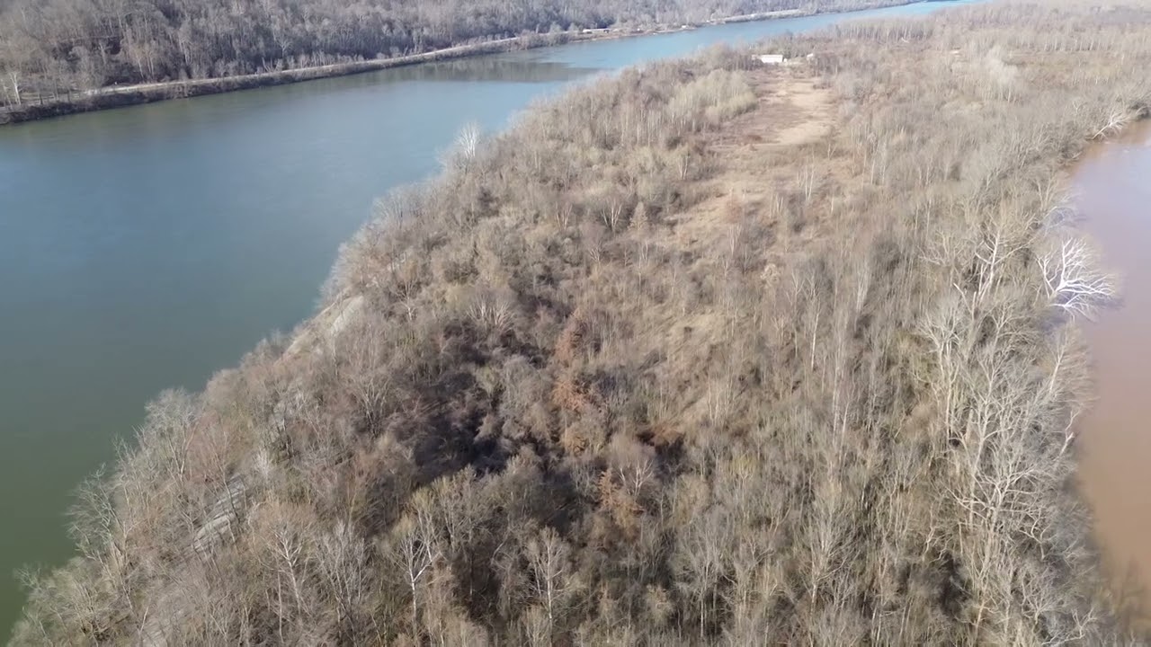 Middle Island in St. Marys, WV  2-4-25