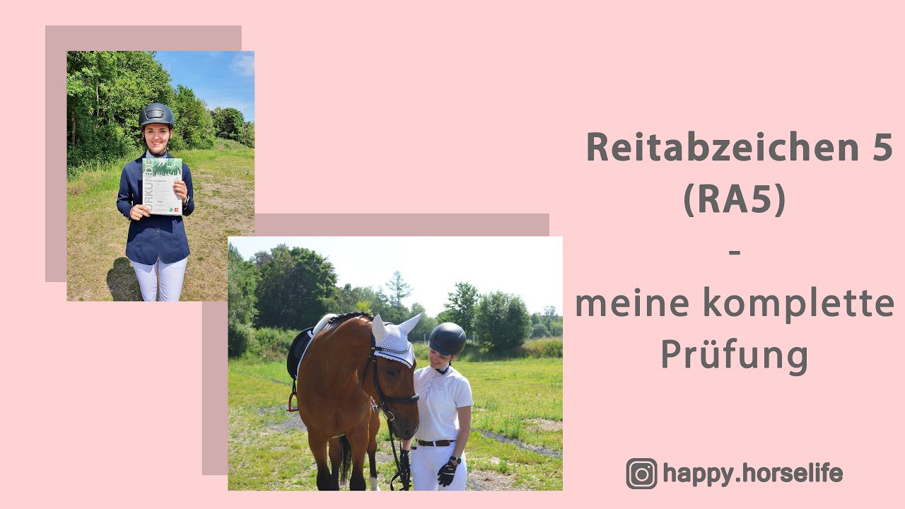 FMA Reitabzeichen RA 5 | kommentierter Prüfungsablauf | der komplette Tag | Einblick mit Honky