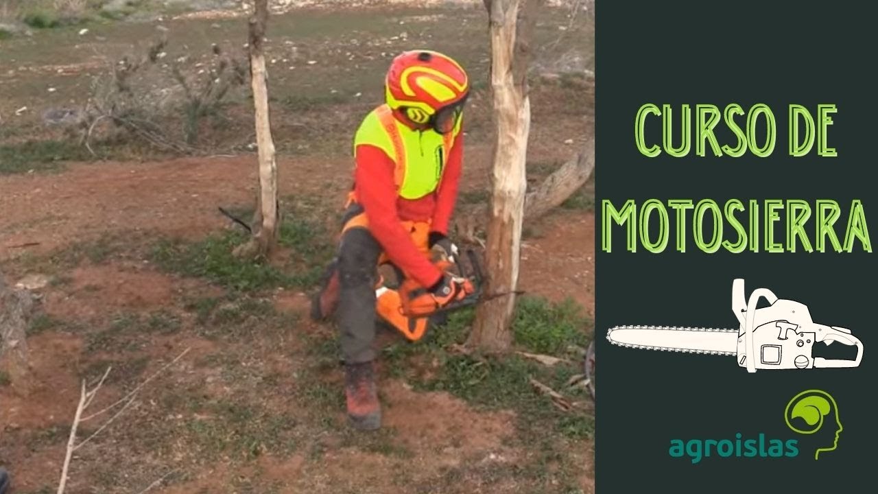 CURSO de MOTOSERRISTA - ENERO 2015 | Agroislas