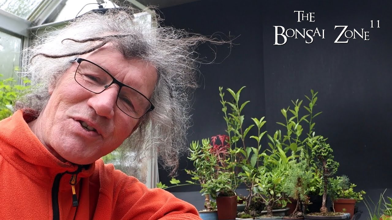Pruning My Mini Bonsai, The Bonsai Zone, June 2024