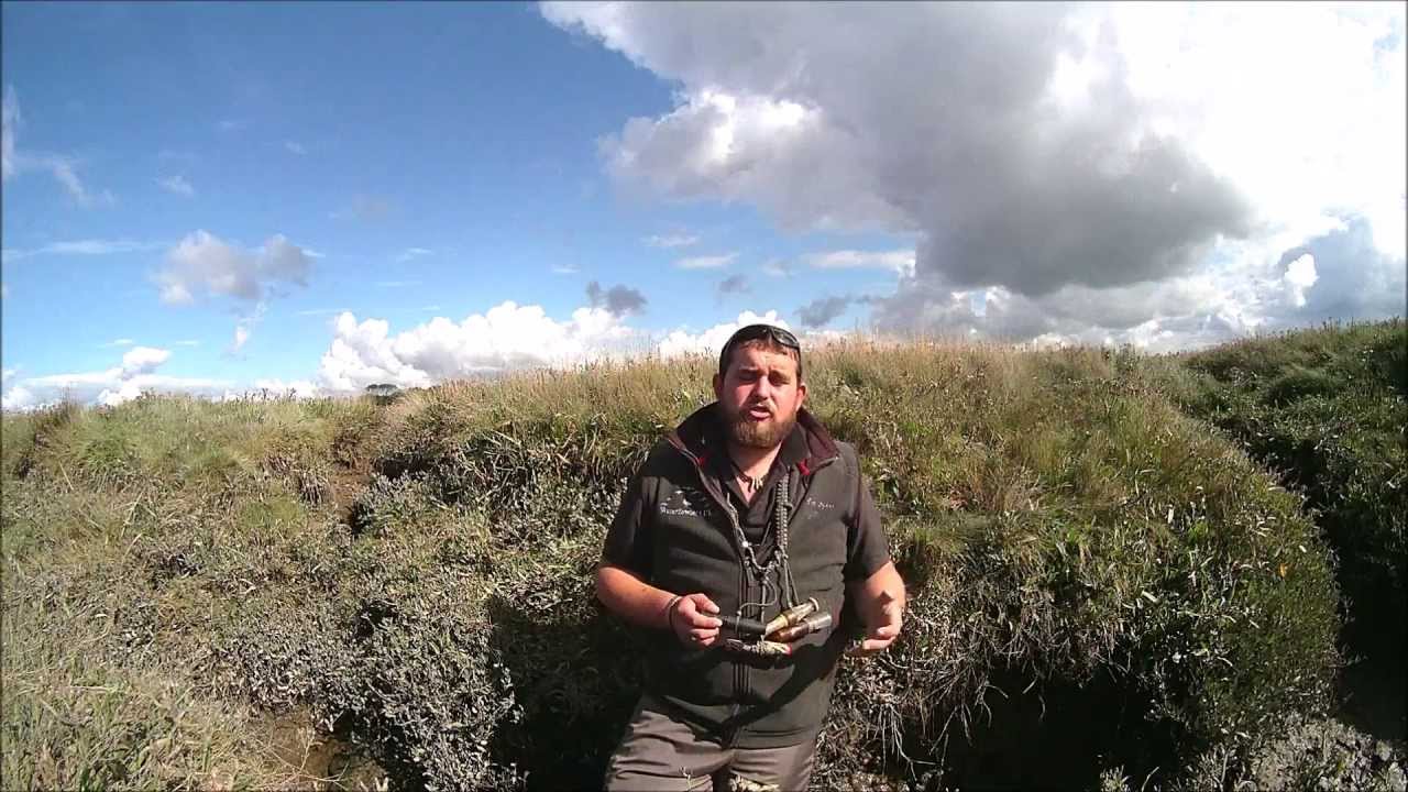 Wildfowling: Goose calling