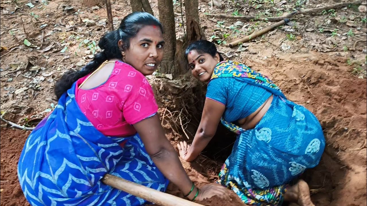 ఈ రోజు అడవిలో దొరికే మాంసం గడ్డల కోసం వచ్చాము.. subbu allagadda 