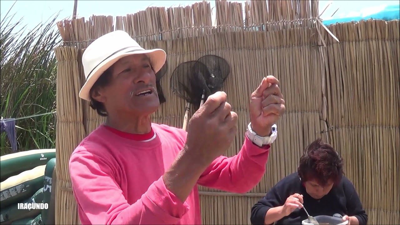 Desde la Laguna Las Totoritas en Medio Mundo , distrito de Vegueta en la provincia de Huaura.