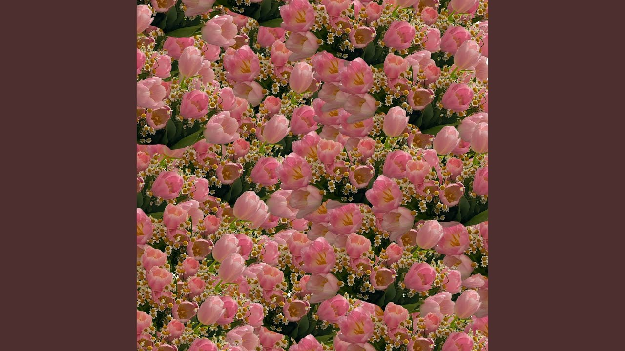 You Bought Me Some Flowers