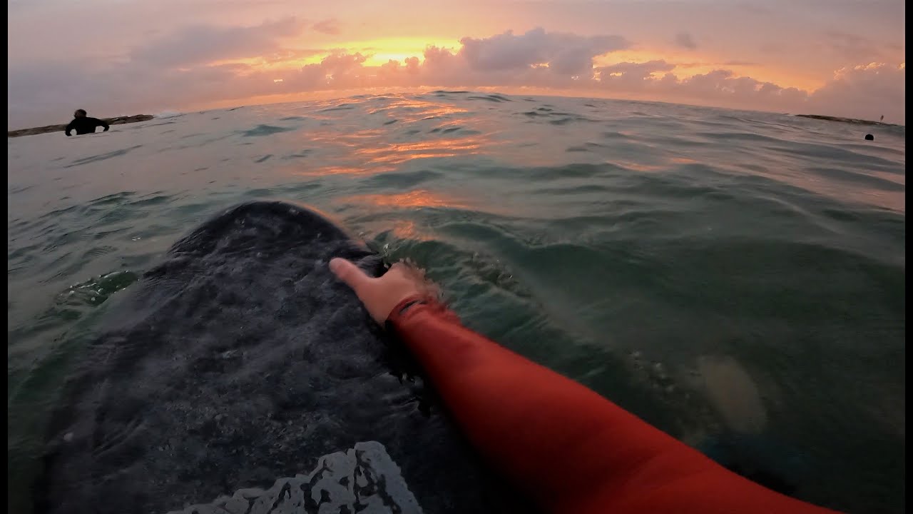 Surfing Pov - Sunset Session on Catch Surf Special 54