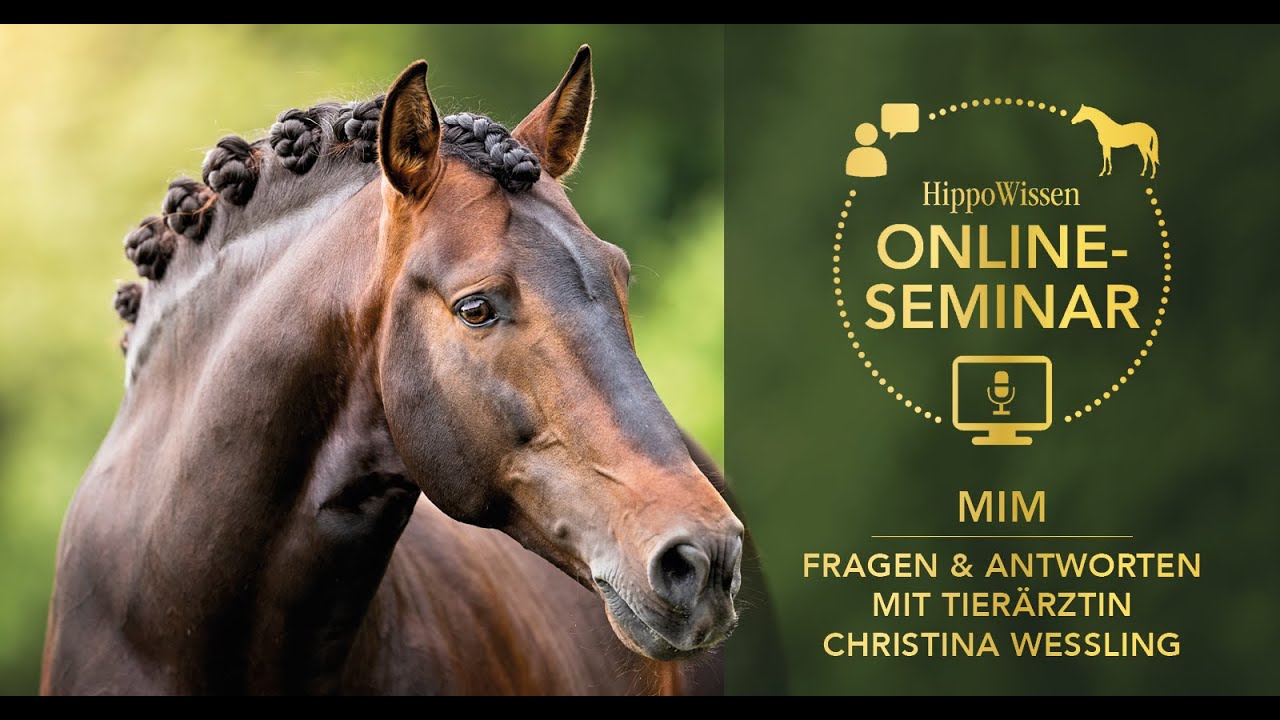 HippoWissen Fütterungsseminar: MIM – Fragen und Antworten mit Tierärztin Christina Wessling