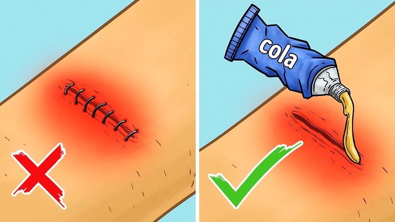 12 Dicas que Podem Ajudar Voc&ecirc; a Sobreviver