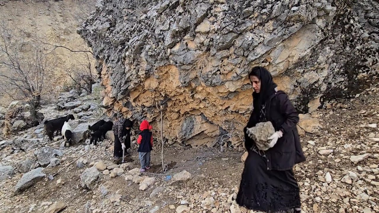 Cave Life and Its Secrets 🏔️|Building a shelter for sheep and saving them from the cold 🐑