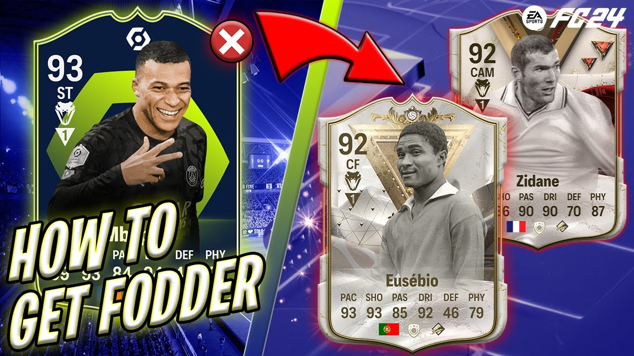PROJECT BUILDING FODDER ✅👀
