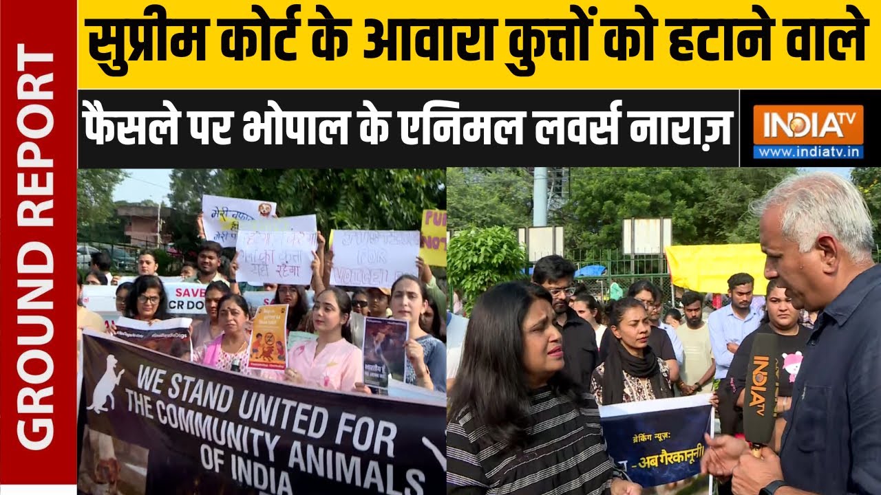 Supreme Court के आवारा कुत्तों को हटाने पर Bhopal के Animal Lovers नाराज़, सड़कों पर उतरे लोग