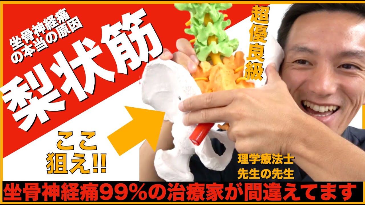 坐骨神経痛　梨状筋の秘密