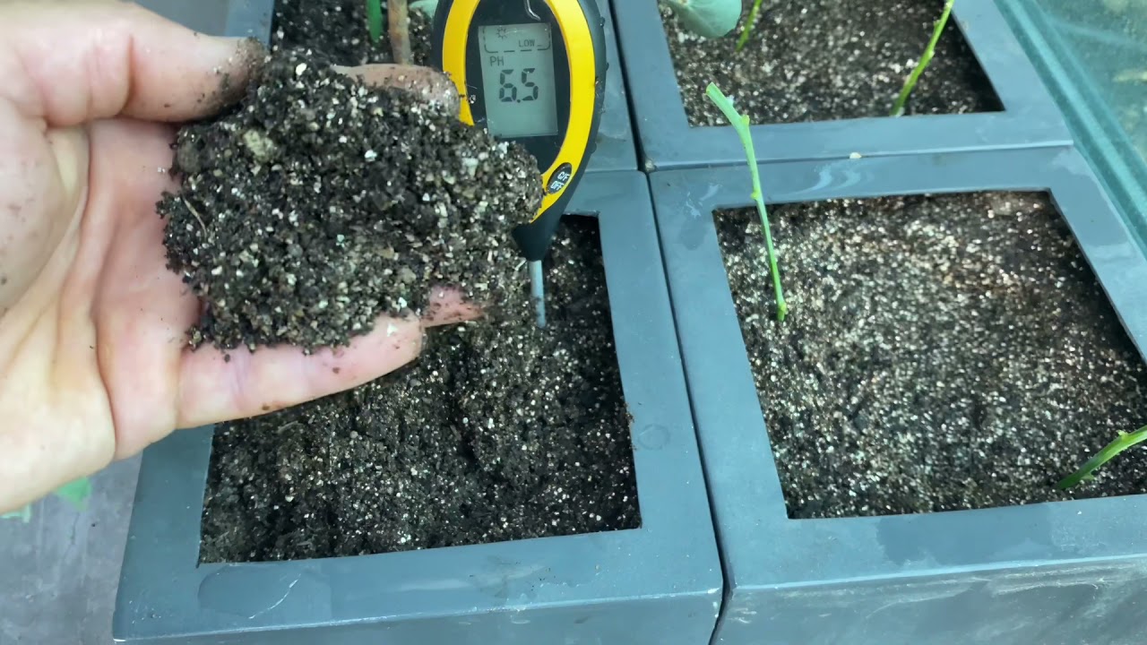 Toprak PH önemi ideal ph aralığı nasıl yükseltilir nasıl düşürülür.