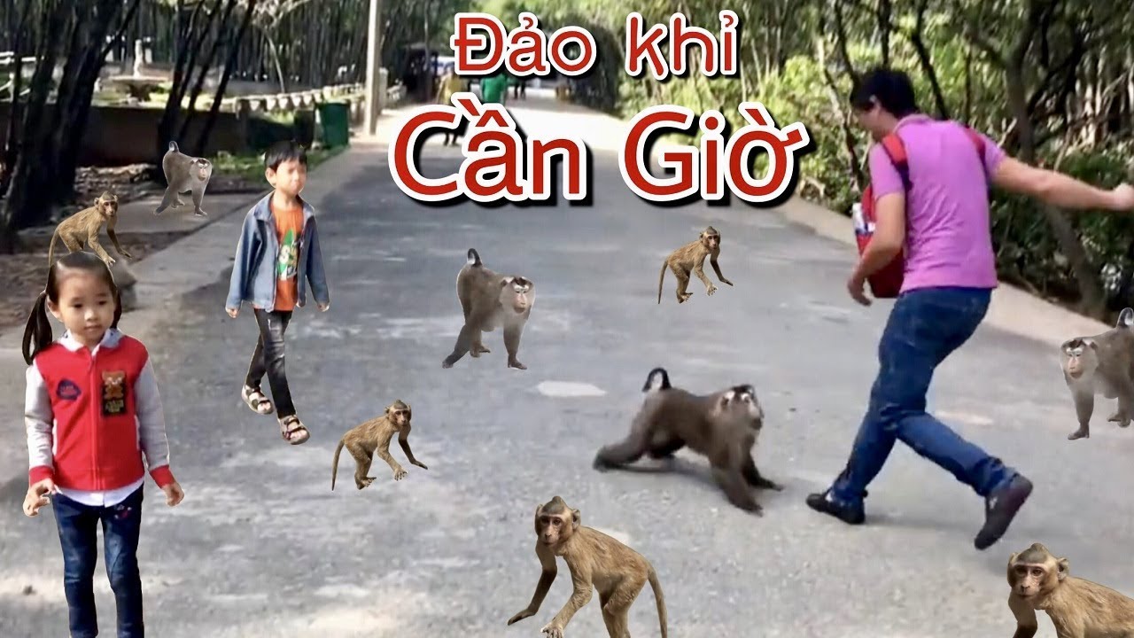 Stin Dâu Trải Nghiệm Khám Phá Đảo Khỉ Cần Giờ - Monkey island (^_^)
