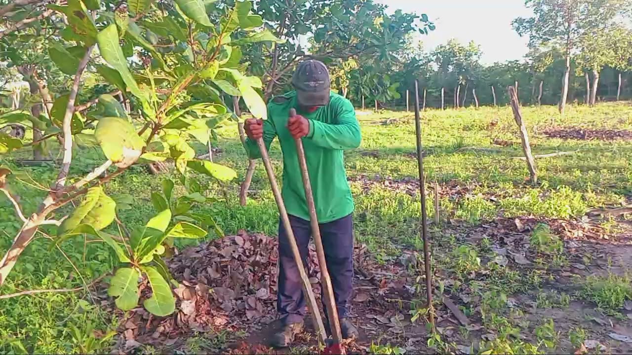 Fazendo o projeto dos chiqueiro dos porcos 🐖 🐖 