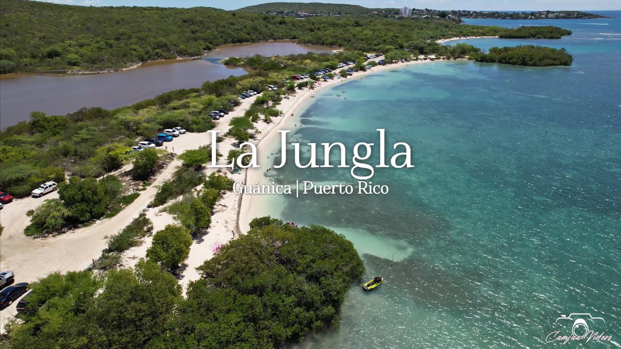 La Jungla | Guánica PR🇵🇷