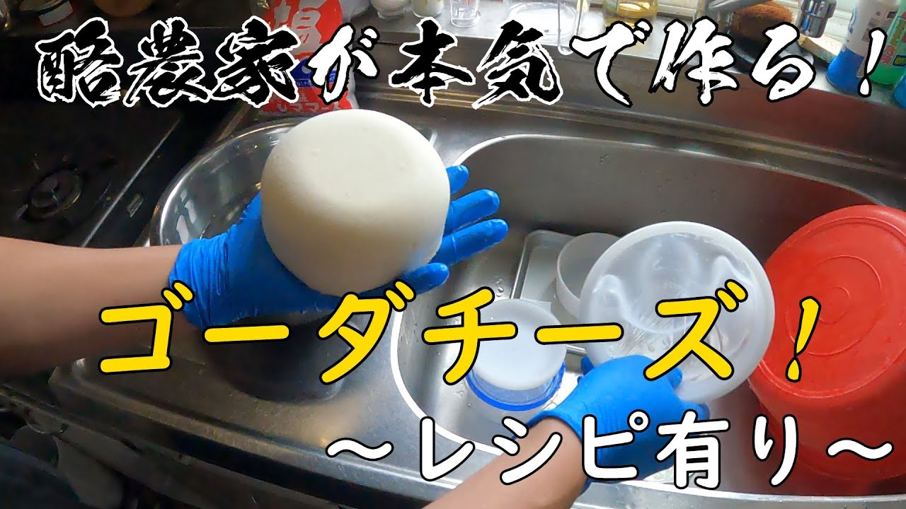 北海道の酪農家が本気で作るゴーダチーズ！作り方も紹介!