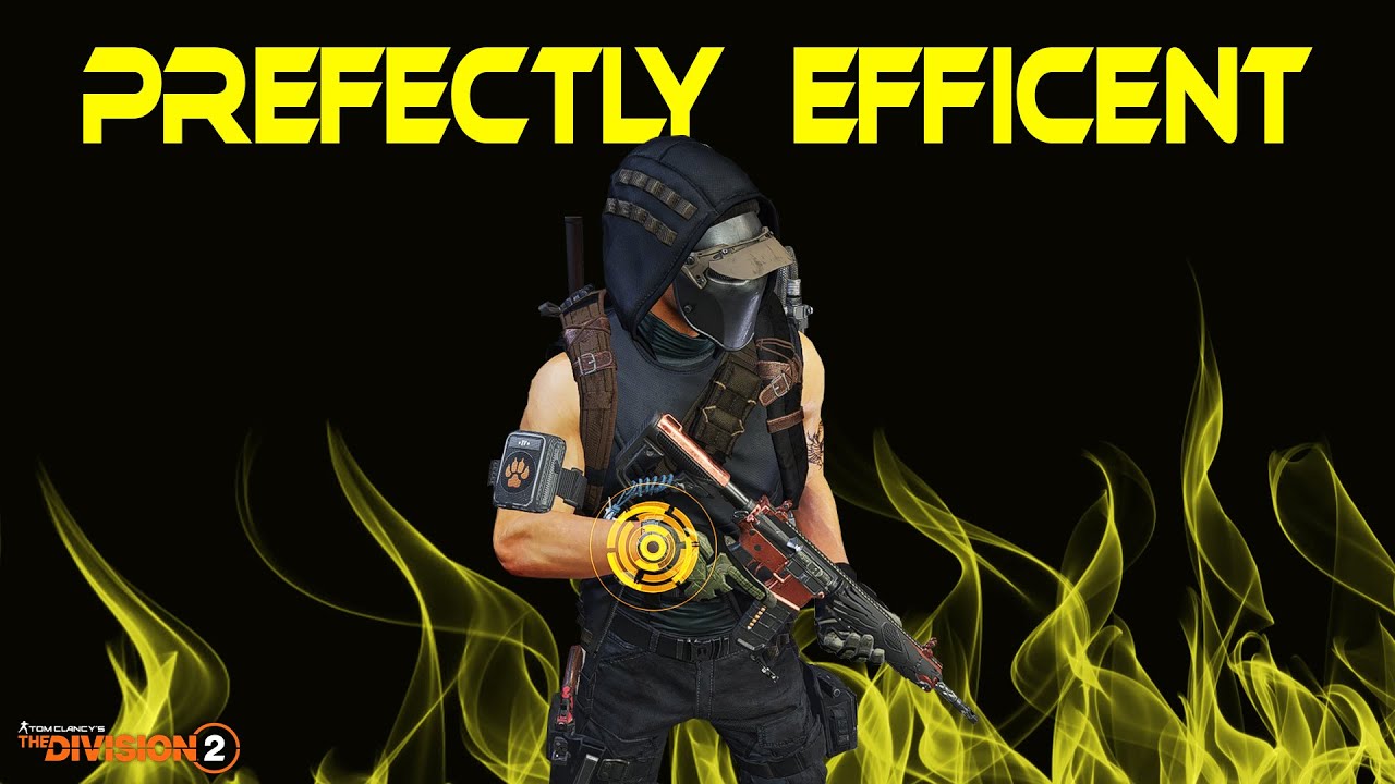 The Division 2 - Perfectly Efficient PVP/Build