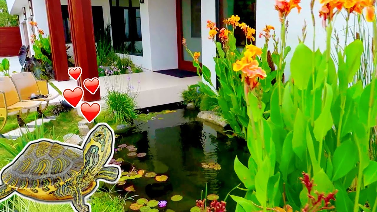 Renovated *TURTLE POND* in Sunny California