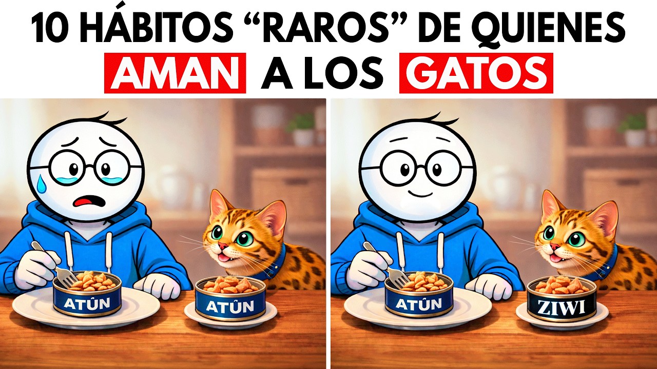 10 HÁBITOS RAROS de las personas que AMAN a los GATOS (psicología)