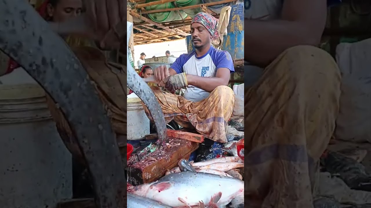 ASMR Giant Fish Cutting #Live | Real Market Experience | Dulal Fish Cutting #fish #fishing🦈🐋 #asmr