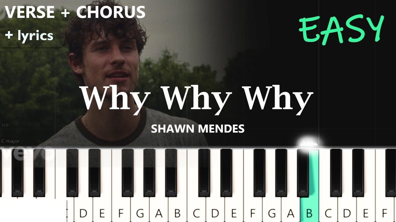 Shawn Mendes - Why Why Why  ~  EASY PIANO TUTORIAL + lyrics