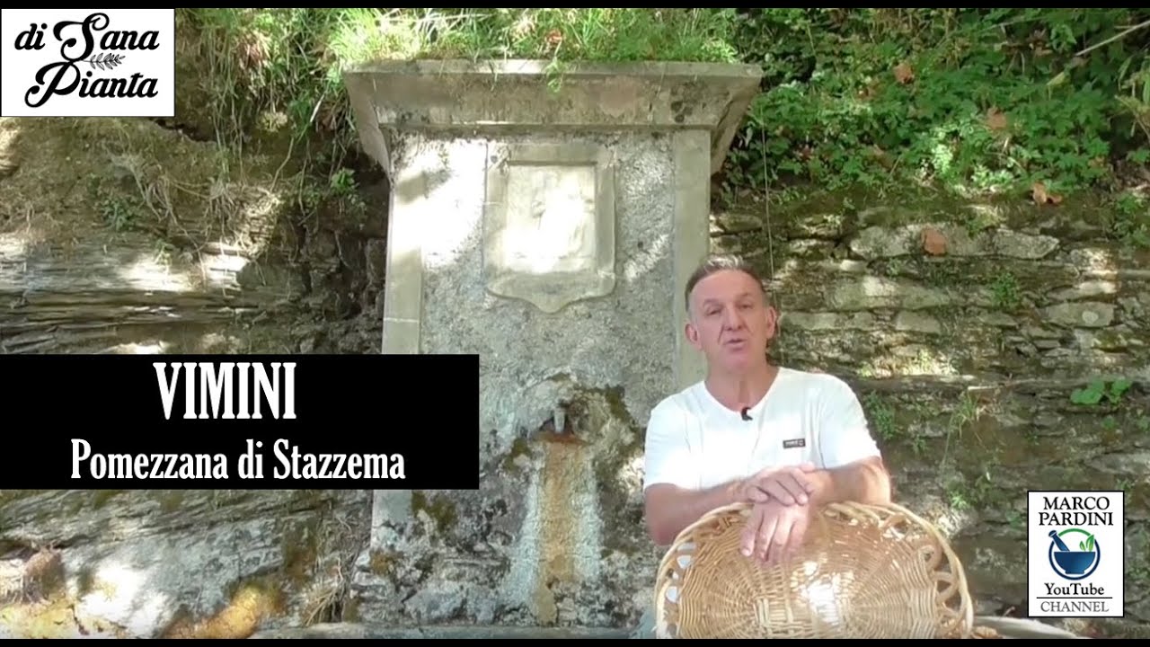 VIMINI