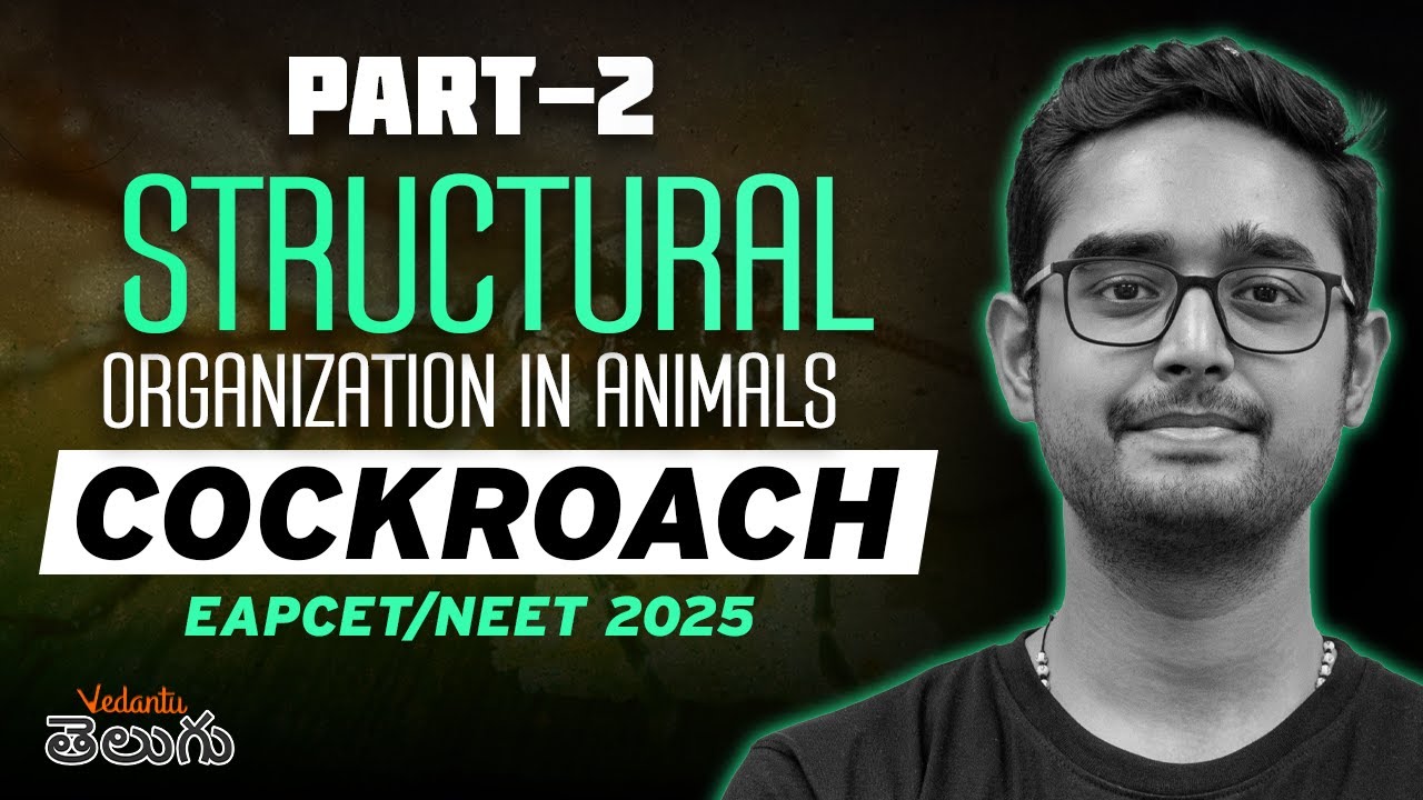Cockroach One Shot | Structural Organization | NEET 2025 | EAMCET 2025 | Ajay Kumar Sir