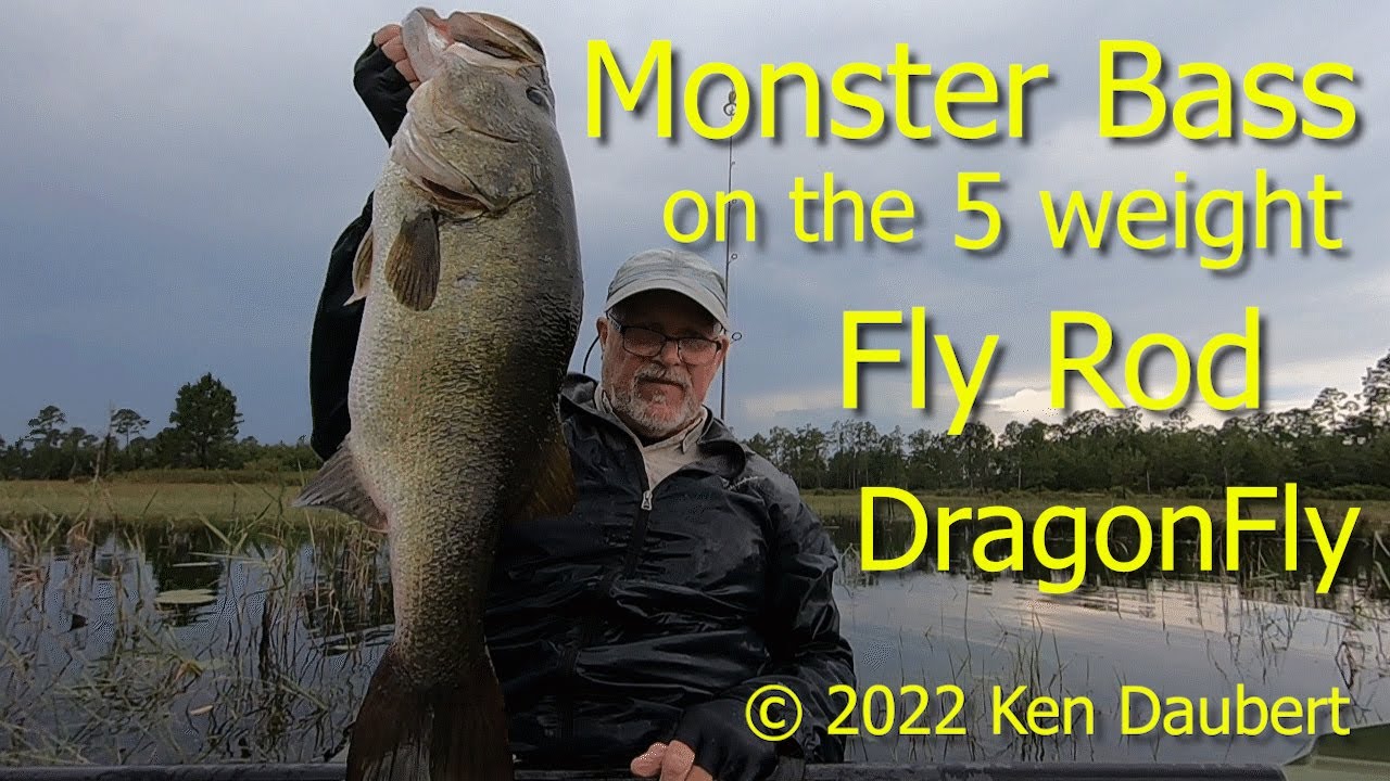 Monster Bass on the 5 weight Fly Rod DragonFly