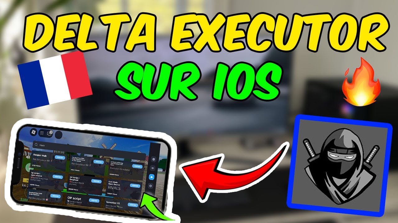 Comment installer Delta Executor sur iOS iPhone ✅ Comment installer Delta Executor sur iOS TUTO FR