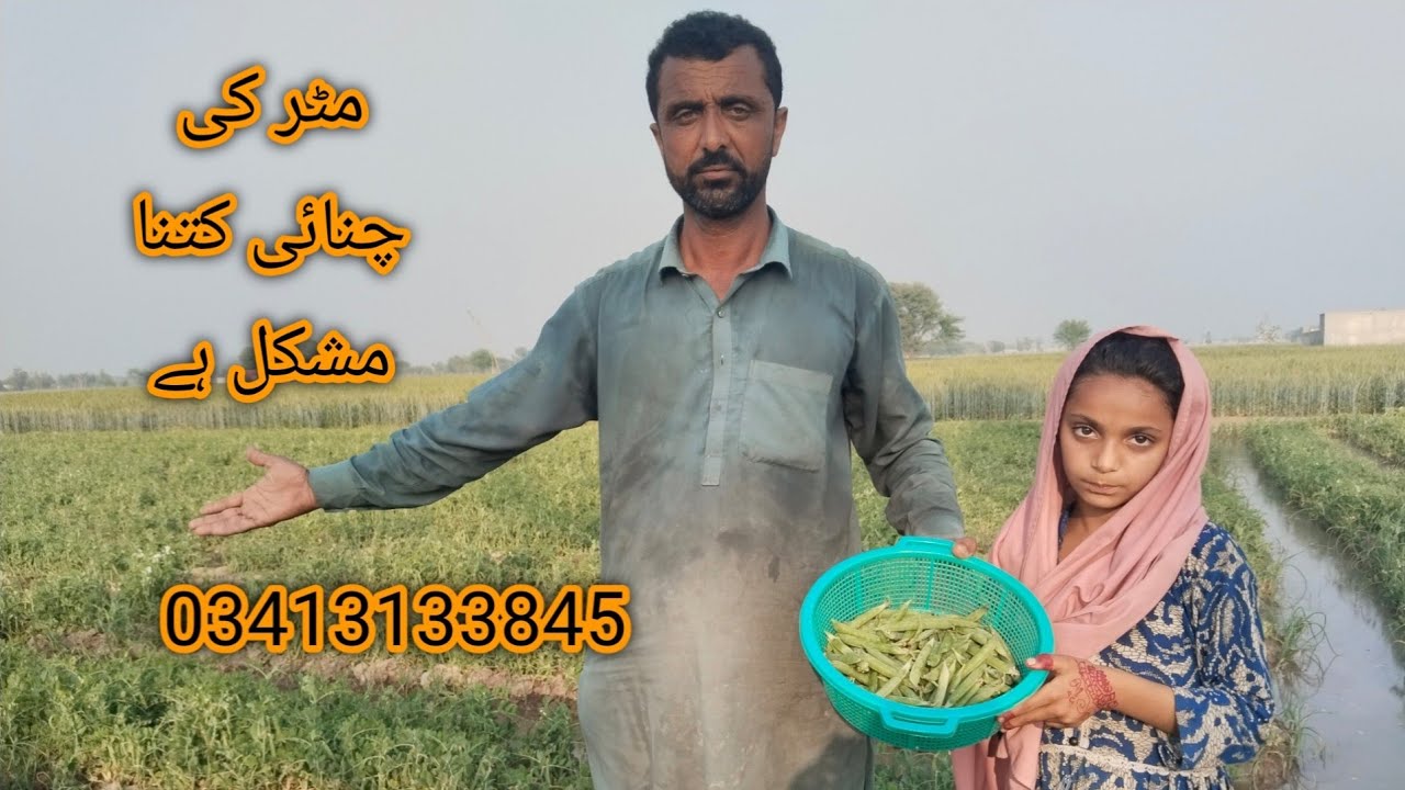 8 March 2026،،Matar Ki  Chunai Kitna Muskil  Ha /// Mirab Family Vlog 