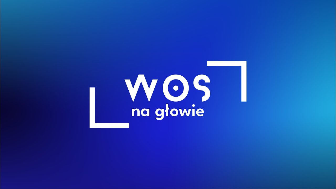 Referendum i wybory/ WOS na głowie/odc. 4 Podstawowy Kurs Wiedzy o społeczeństwie i państwie