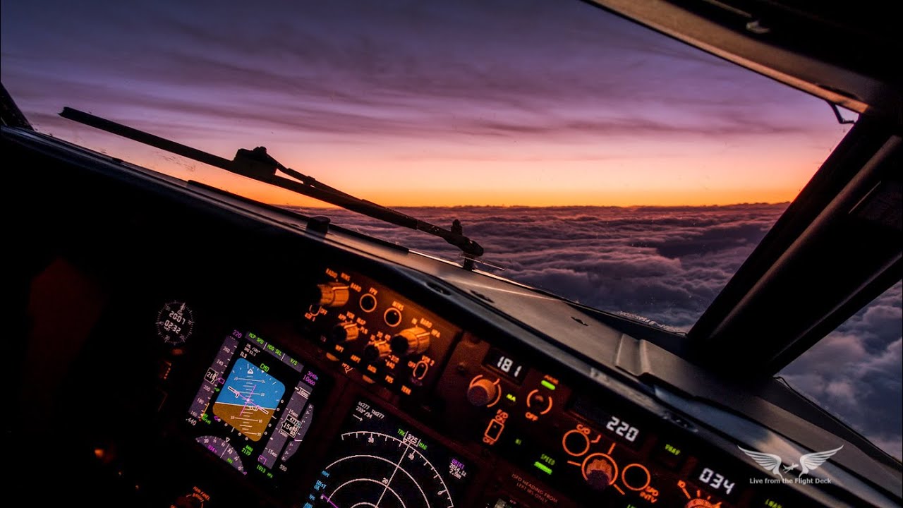 Life in the Sky